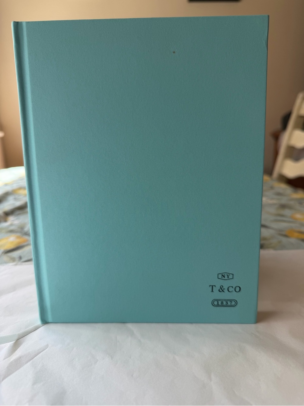 🩵📒🩵 TIFFANY & CO. NOTEBOOK 🩵📒🩵 NWOT 🩵📒🩵